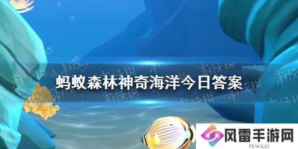 猜一猜以下哪种螃蟹会使用海洋中的海绵作为伪装  神奇海洋11月25日答案