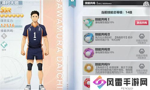 排球少年新的征程角色养成攻略介绍
