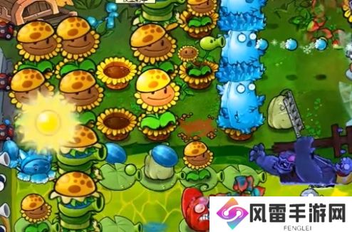 植物大战僵尸杂交版冒险模式64过关方法