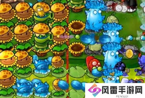 植物大战僵尸杂交版冒险模式63过关攻略