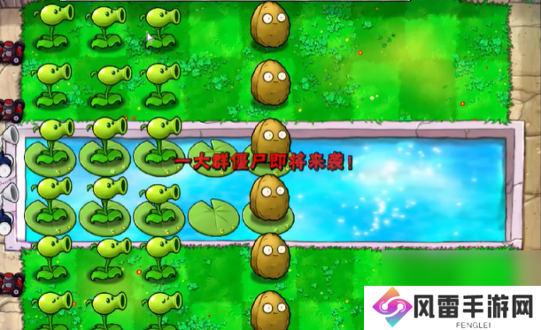 植物大战僵尸抽卡版冒险模式3-5怎么过